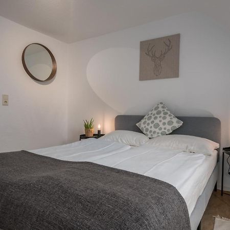 Cassel Lofts - Gemuetliches Apartment Fuer 3 - Naehe Marienkrankenhaus Екстериор снимка